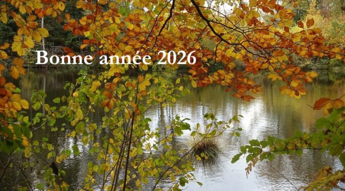 Vœux 2026